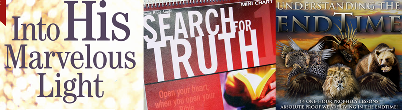 Search For Truth Bible Study Chart